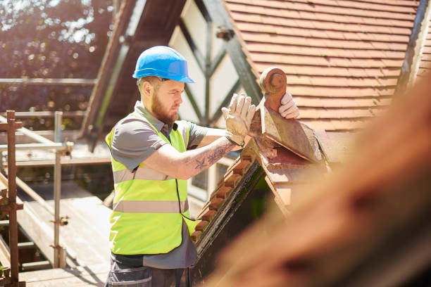 Best Roof Gutter Cleaning  in London, CA